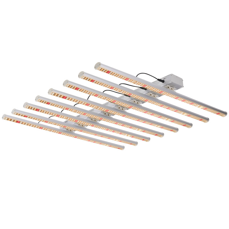 Tycker du att led odlingsljus är bättre än natriumlampa för växtodling?